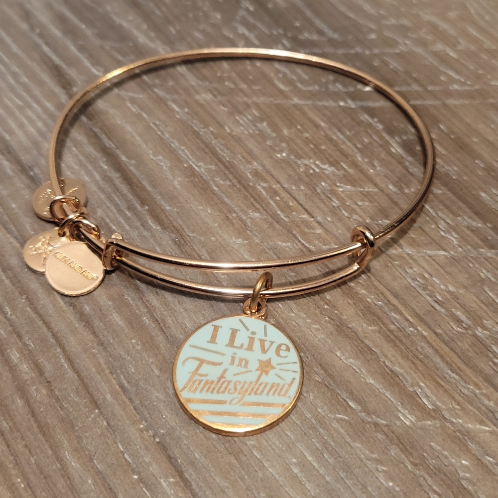 Alex and Ani bracelet